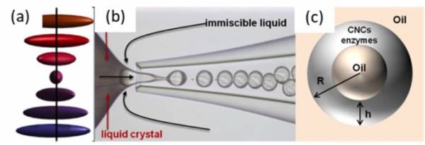 Microfluidic