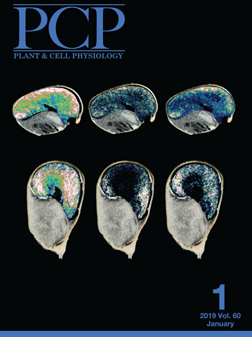 Some of the work of the ELIPS team makes the cover page of the journal Plant and Cell Physiology 
